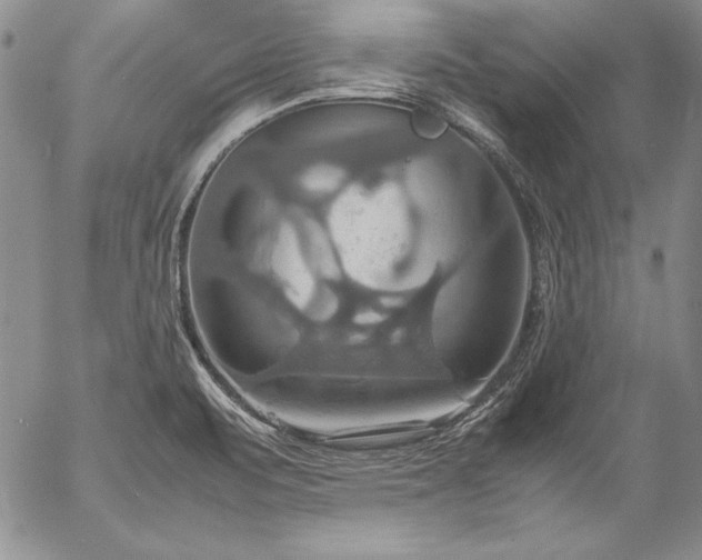 X0000057041471200509091054