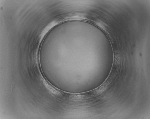 X0000057041474200509091054