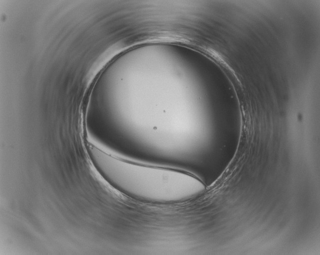 X0000057041476200509091054