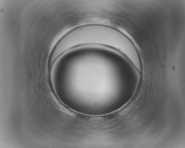 X0000057041477200509091054
