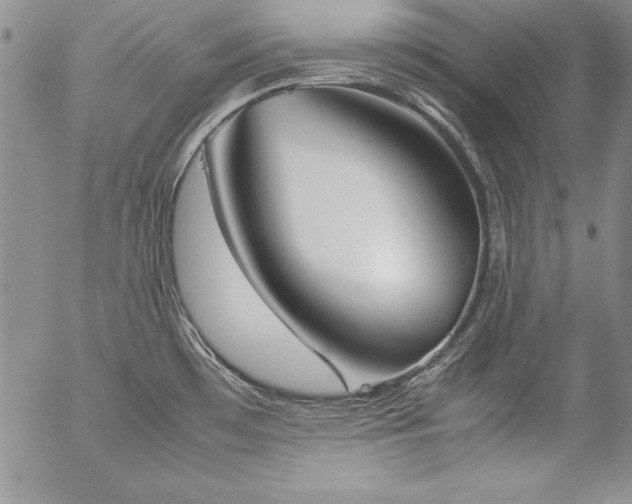 X0000057041481200509091054