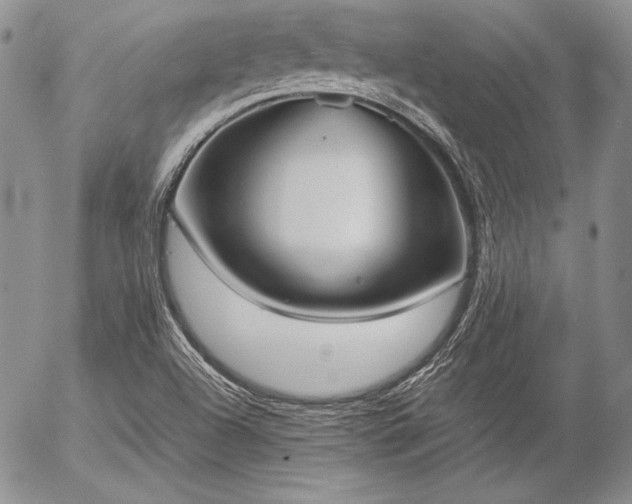 X0000057041504200509091053