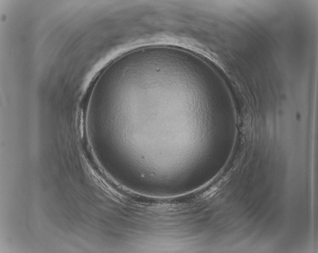 X0000057041510200509091053