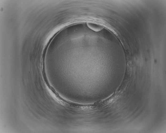 X0000057041523200509091053