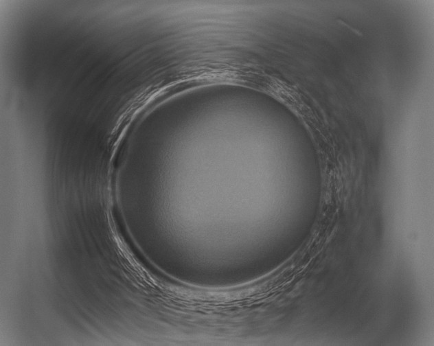 X0000057040002200509120832
