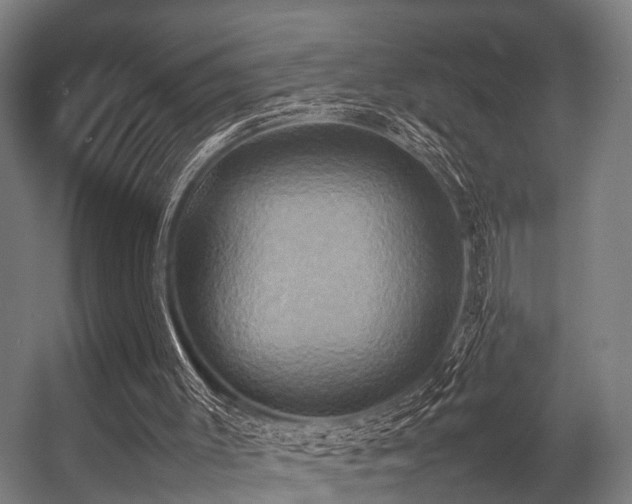 X0000057040003200509120832