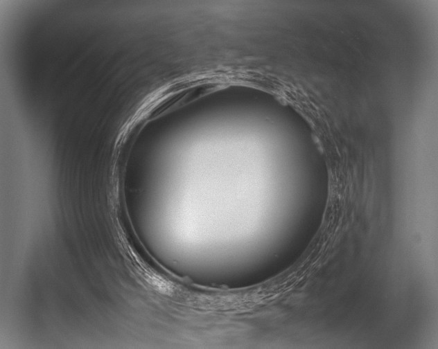 X0000057040005200509120832