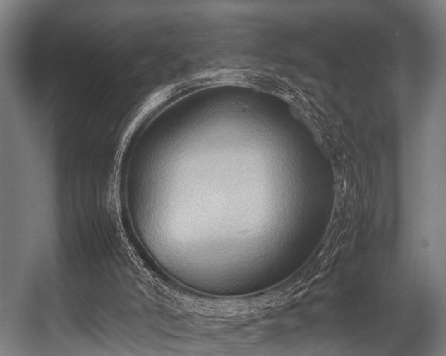 X0000057040006200509120832