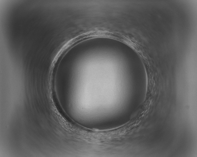X0000057040007200509120832