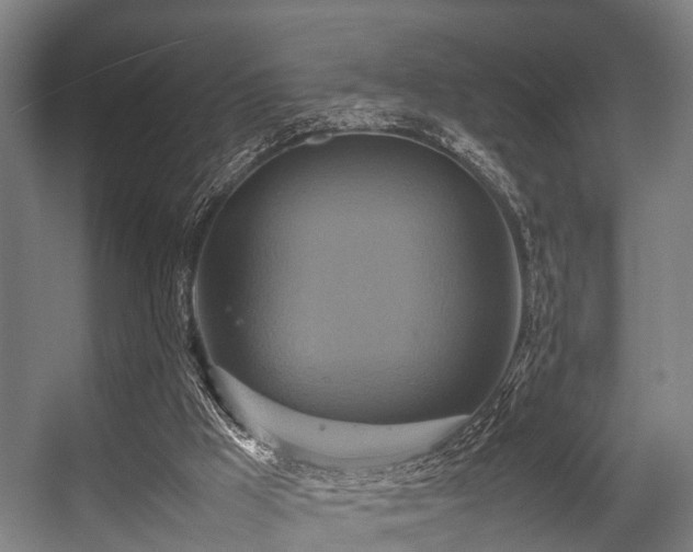 X0000057040009200509120832