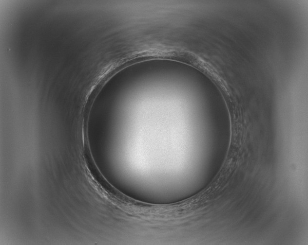 X0000057040011200509120832