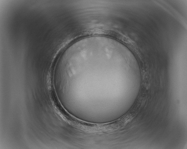 X0000057040012200509120832