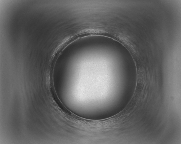 X0000057040015200509120832