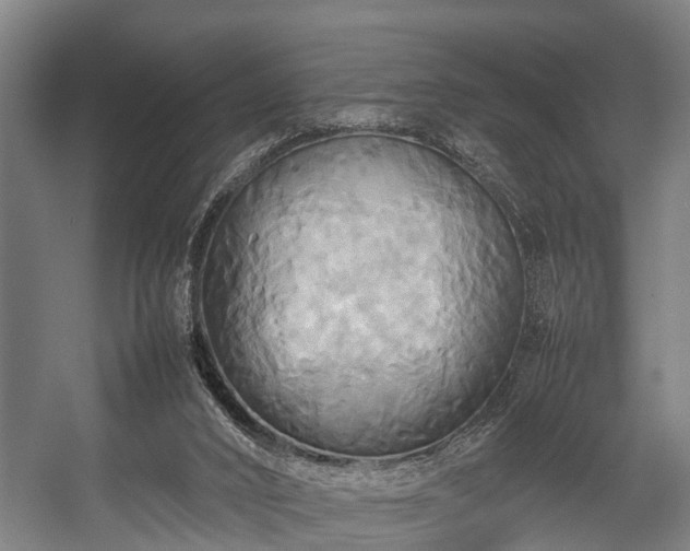 X0000057040016200509120832