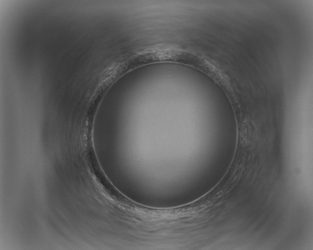 X0000057040018200509120832