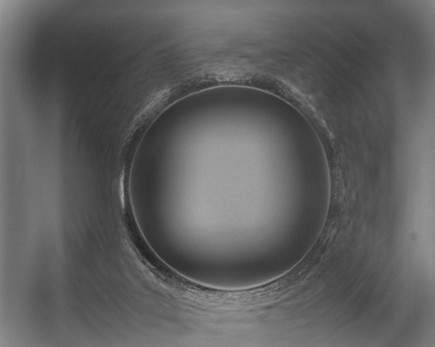 X0000057040019200509120832
