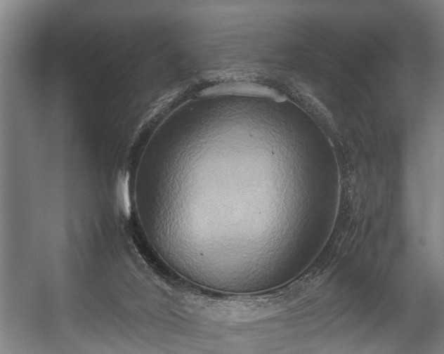 X0000057040020200509120832