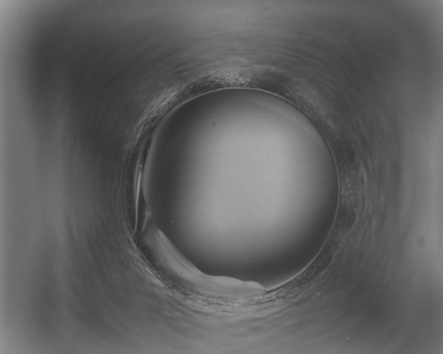 X0000057040023200509120832