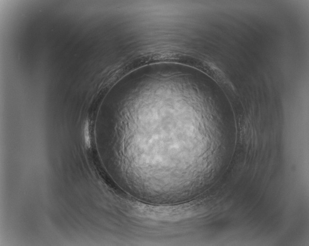 X0000057040026200509120832