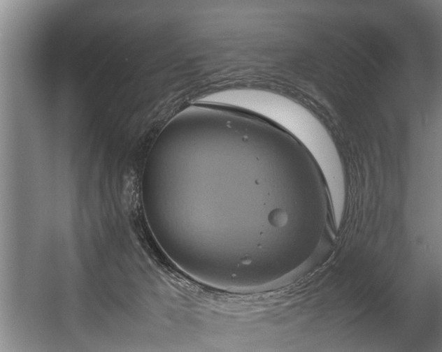 X0000057040029200509120832