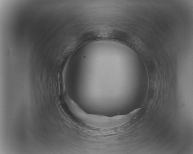 X0000057040031200509120832