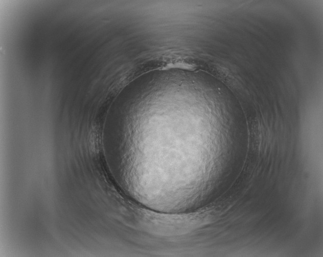 X0000057040034200509120832