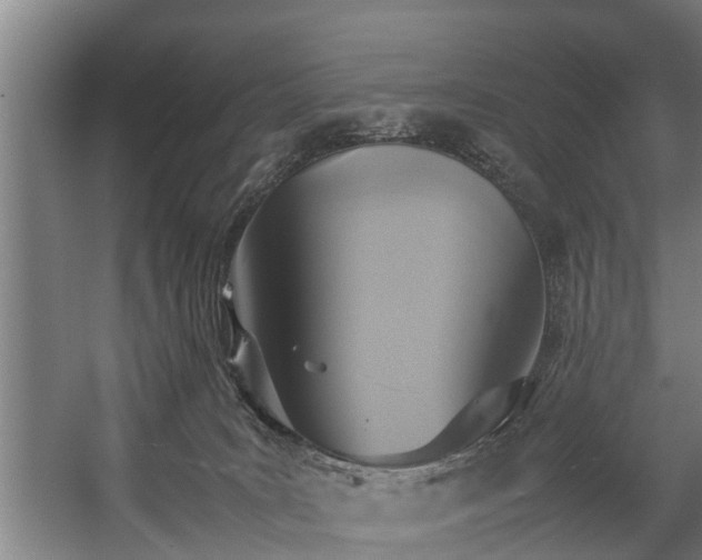 X0000057040035200509120832