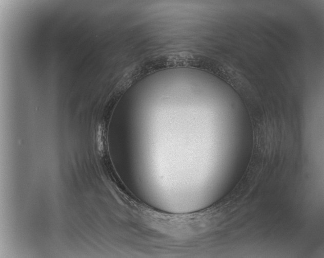 X0000057040038200509120831