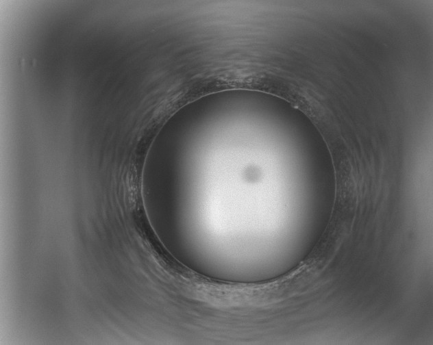 X0000057040040200509120831