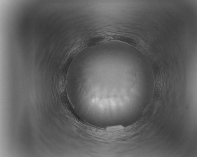 X0000057040043200509120831