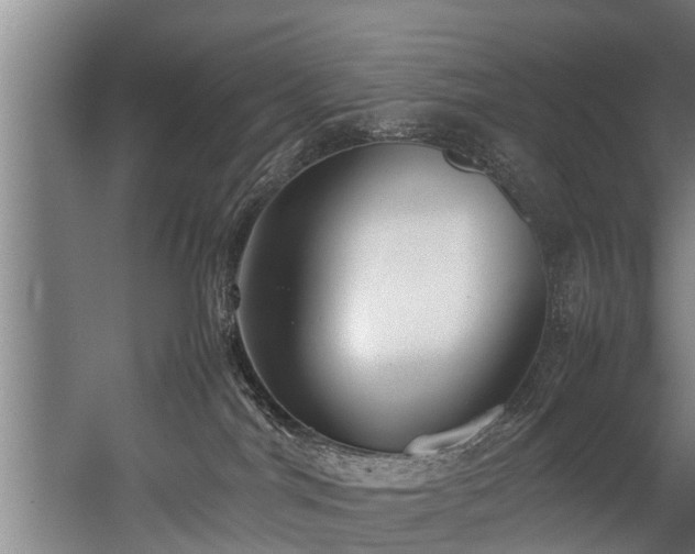 X0000057040044200509120831