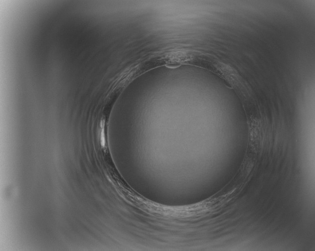 X0000057040046200509120831