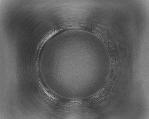 X0000057040050200509120830