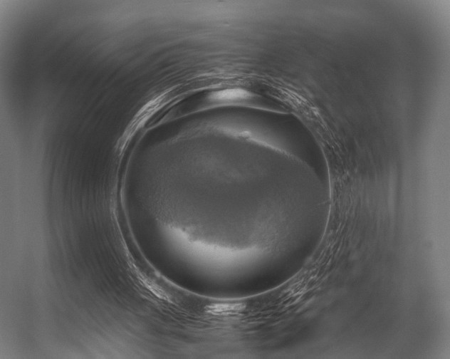 X0000057040051200509120831