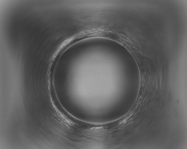 X0000057040054200509120831