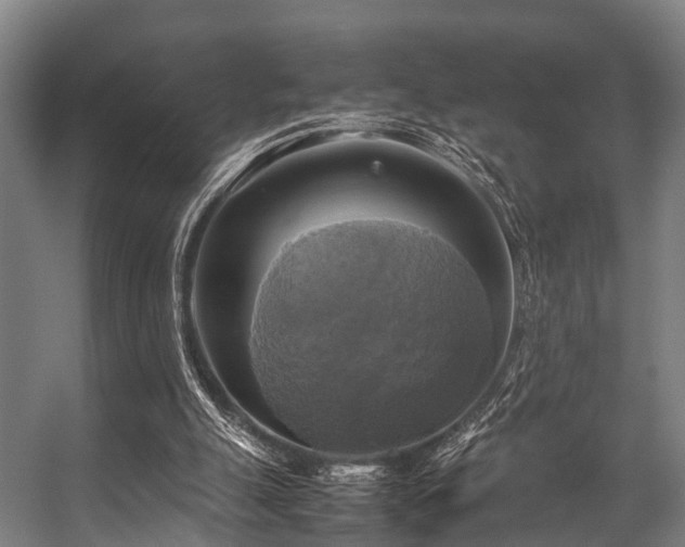 X0000057040055200509120831