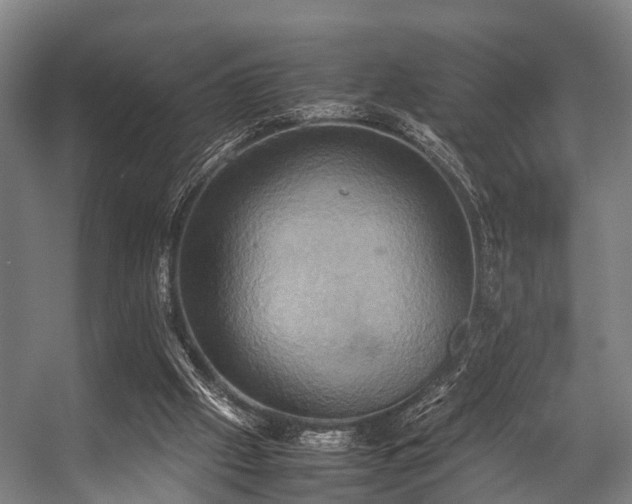 X0000057040057200509120831