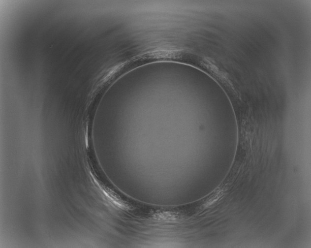 X0000057040062200509120831