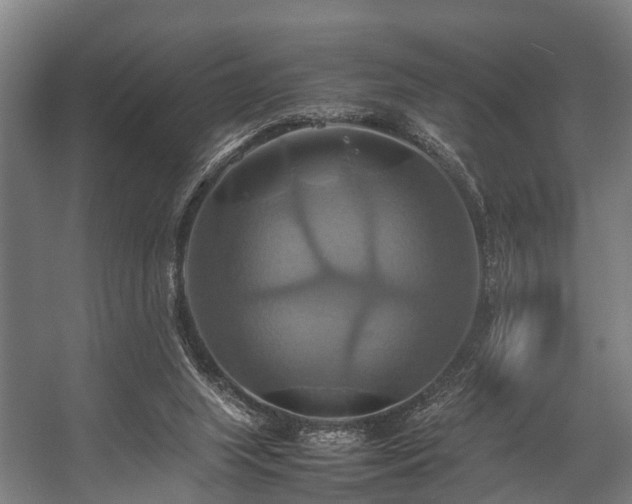 X0000057040063200509120831