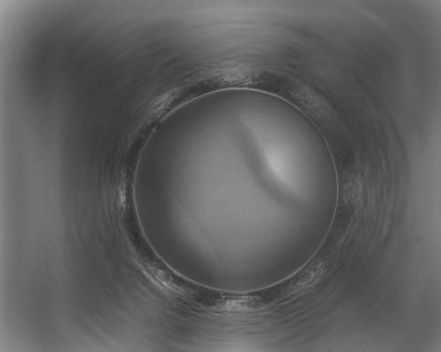 X0000057040072200509120831