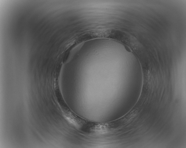 X0000057040080200509120831