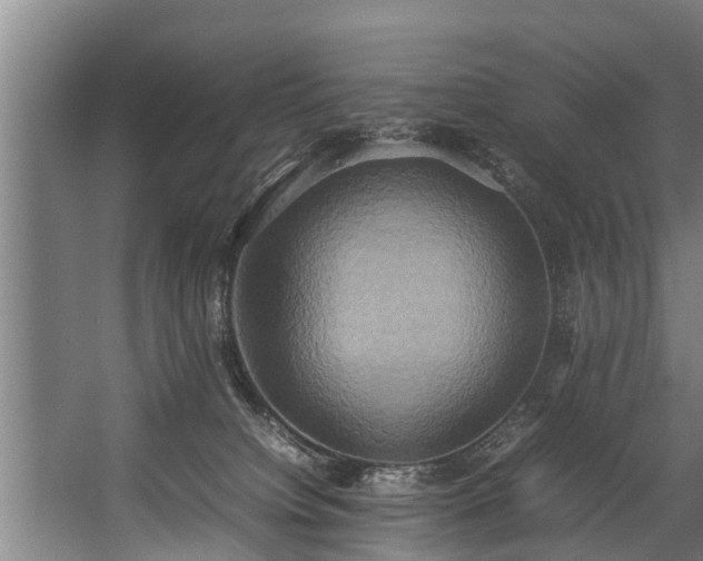 X0000057040084200509120831