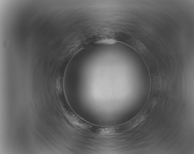 X0000057040088200509120831