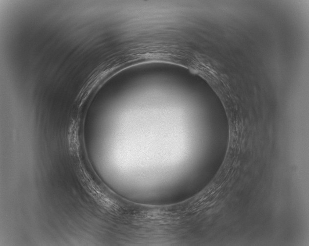 X0000057040098200509120830