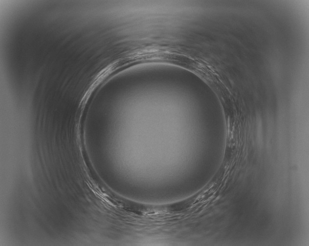 X0000057040099200509120830