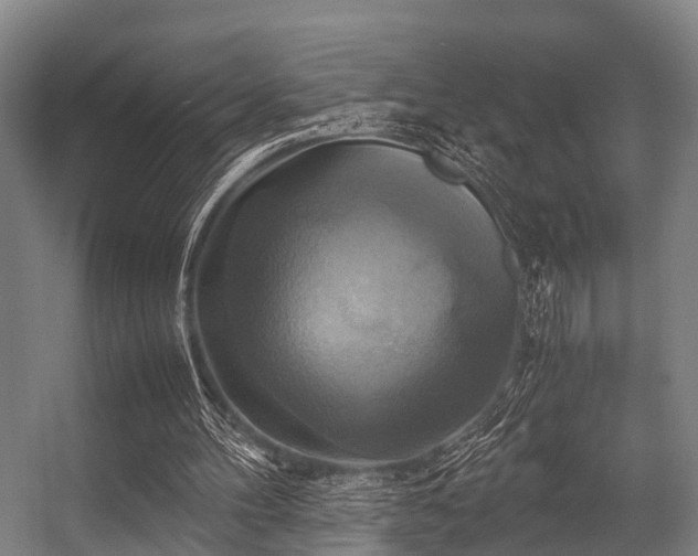 X0000057040100200509120830
