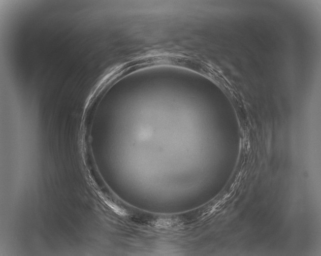 X0000057040101200509120830