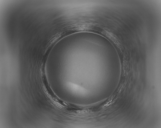 X0000057040105200509120830