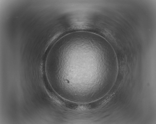 X0000057040111200509120830