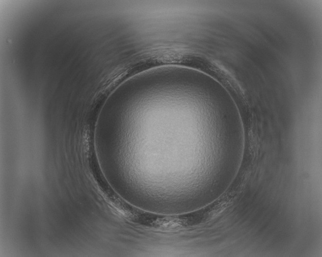 X0000057040113200509120830